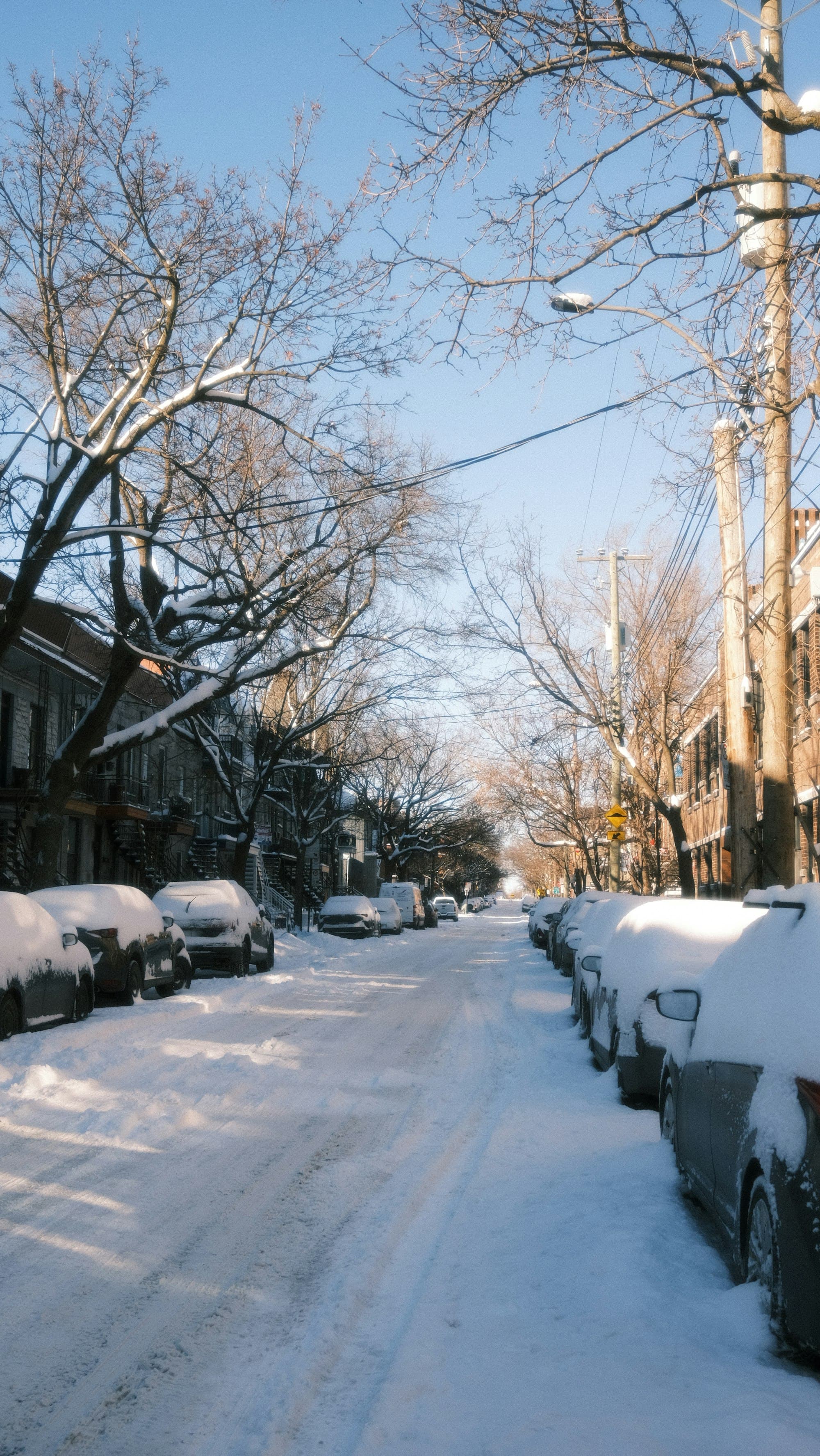 Une rue résidentielle de Montréal sous la neige, bordée de plex et d’arbres dénudés
